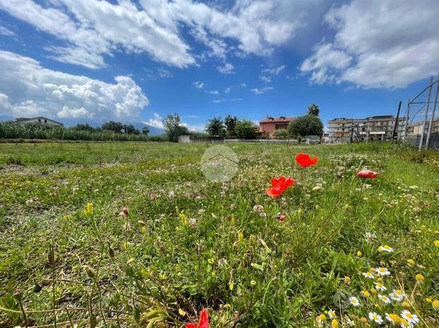 TER. AGRICOLO A SCAFATI