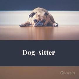 Dog sitter