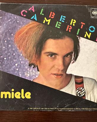 Vinile 45 giri - Alberto Camerino