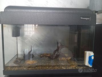 acquario 60 litri