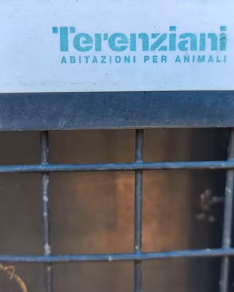 Recinzione in acciaio