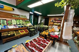 Attività avviata ortofrutta completa