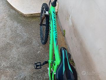 bicicletta