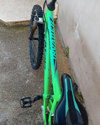 bicicletta