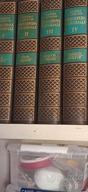 Enciclopedia Universale  Rizzoli Larousse