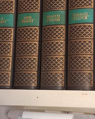 Enciclopedia Universale  Rizzoli Larousse