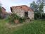 Immagine 19