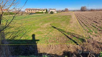 Terreno Agricolo Anguillara Veneta (PD)