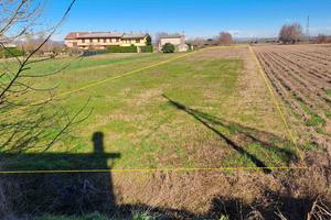 Terreno Agricolo Anguillara Veneta (PD)
