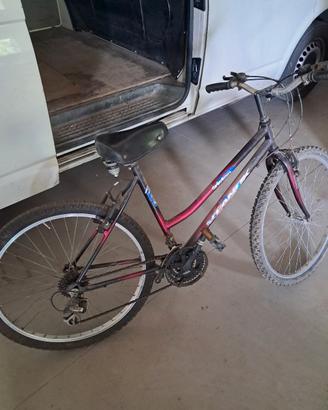 Bicicletta 