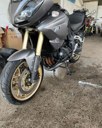 TRIUMPH TIGER 1050 SE