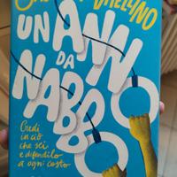 un anno da nabbo 