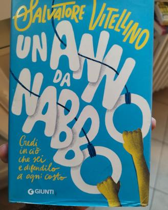 un anno da nabbo 
