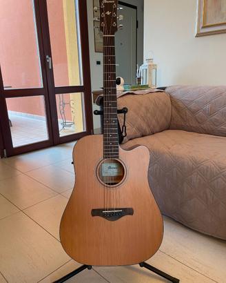 Ibanez AW65ECE-LG