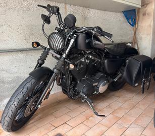 Harley Davidson XL 883 N