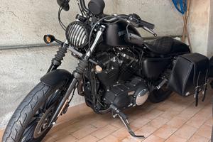 Harley Davidson XL 883 N