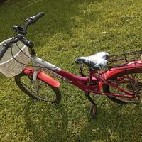 Bici Eclipse bambina 20 pollici