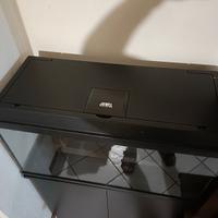 Acquario Juwel 110l