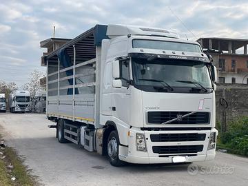 Volvo fh 440 2 assi 180q centinato mt 7.77 2