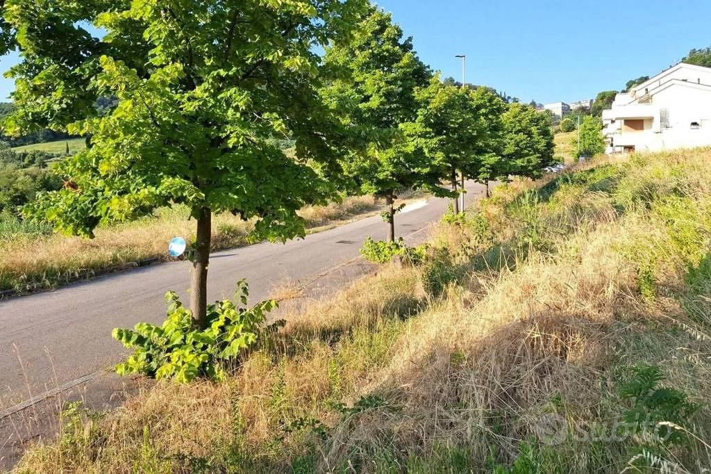Immobile in asta di 2888 m² a Bertinoro - Altro