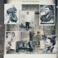 Neville brothers - family groove lp