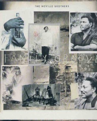 Neville brothers - family groove lp