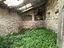 Immagine 12