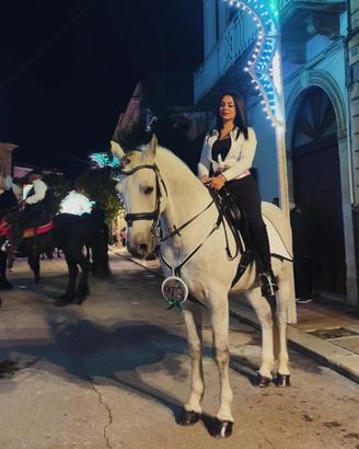 Cavallo