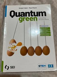 Libro quantum green fisica