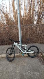 bici specialized