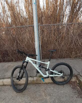 bici specialized