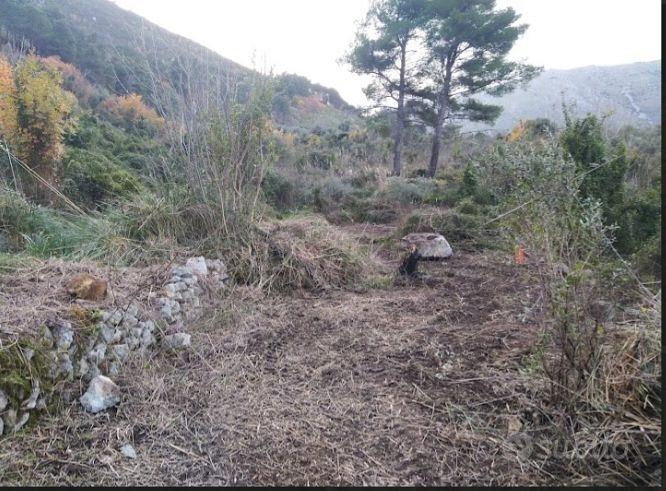 Terreno agricolo - Altro