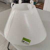 collare elisabbettiano