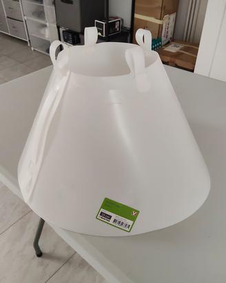 collare elisabbettiano