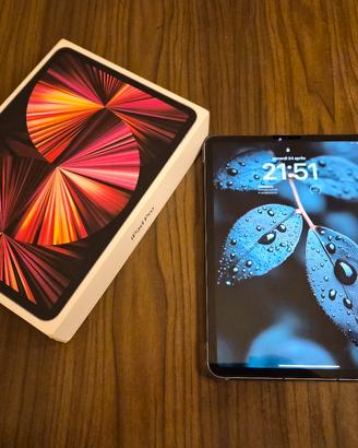 Apple Ipad Pro 11 M1 256Gb Cellular+Wifi