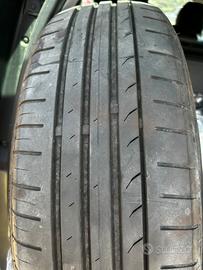 Pneumatici scenic 4 195 55 20