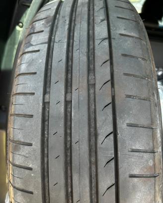 Pneumatici scenic 4 195 55 20