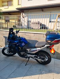 Honda Transalp XL 650 V