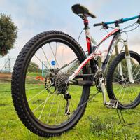 bicicletta mtb trek 