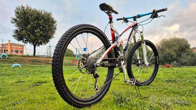 bicicletta mtb trek 