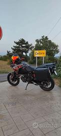 valigie moto e tellaieti yamaha, honda, bmw, ktm