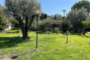 Due unità abitative+ giardino Ardore Marina