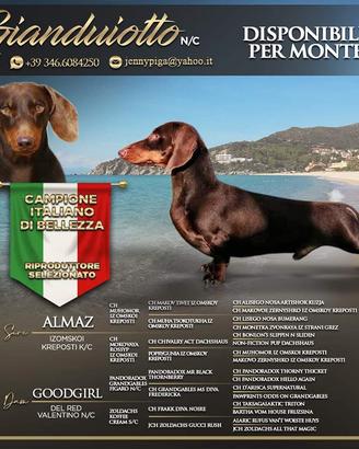 Disponibile per monte