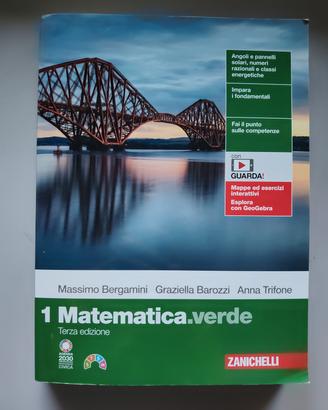 Libro scolastico matematica verde 1 nuovo