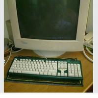 Monitor, video, C992 fujitsu siemens 19"