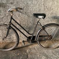Bici da donna Wander