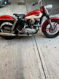 Harley