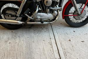 Harley