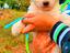 Immagine 2