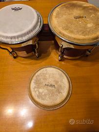 Bongo Tycoon 